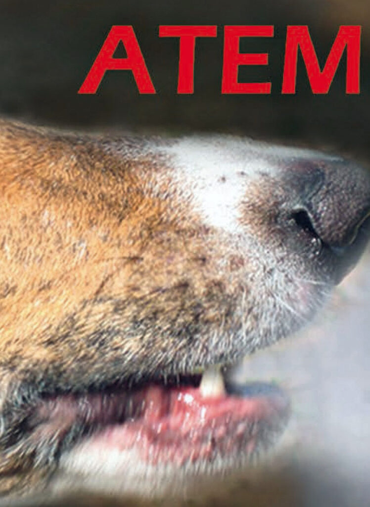 karte-einladung-atempause_thumb