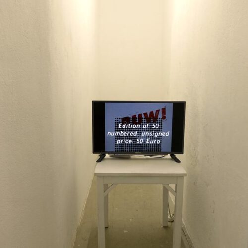 exhibition view-RUW!-Haus 10-video-3