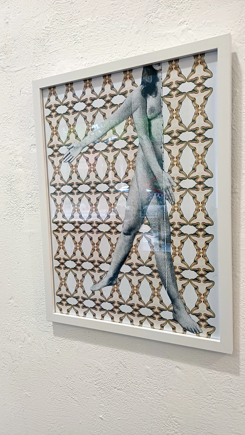 Paula Muhr